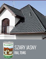 EKO-LOWICYN SZARY JASNY 1L – RAL7046