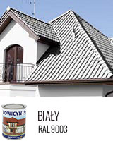 LOWICYN-SX BIAŁY 0,8L – RAL9003 POŁYSK